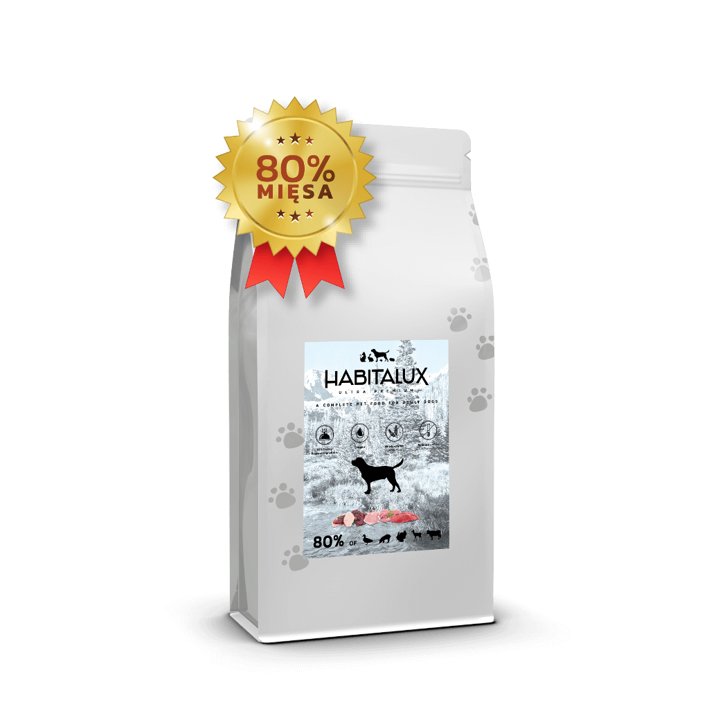 Dorosły_pies_80_kaczka kopia