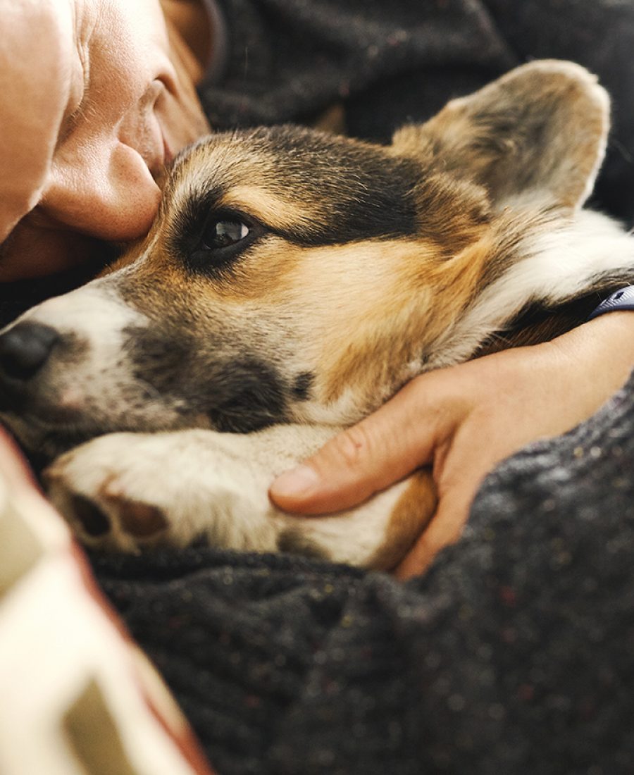 Portrait of young man embracing his pet. Cute Welsh Corgi puppy resting with owner, spending time together at home. Concept friendship with dog and human, cute moments, relaxing, carefree.